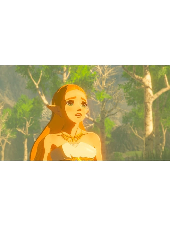 The Legend of Zelda: Breath of the Wild, Nintendo Switch-Spiel