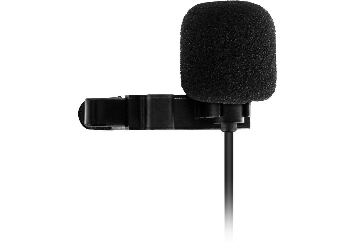 SM1, Mikrofon