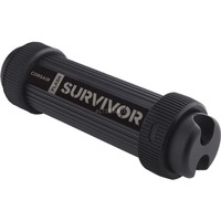 Flash Survivor Stealth 256 GB, USB-Stick