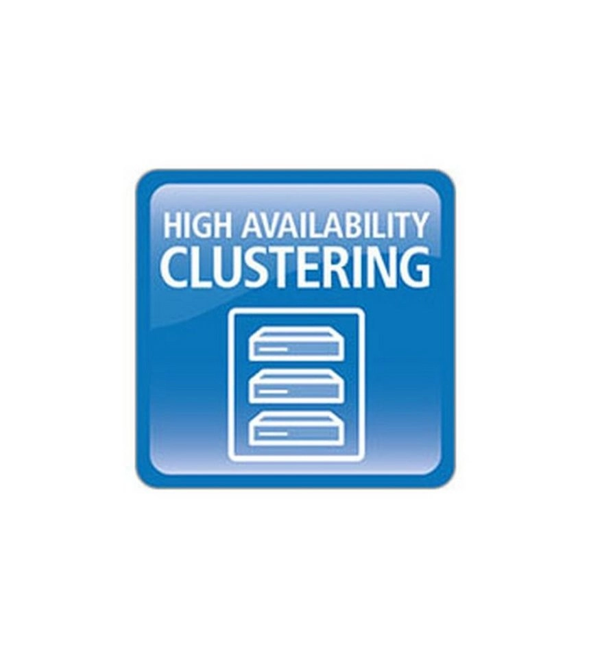 WLC HighAvailability Cluster XL, Dienstleistung