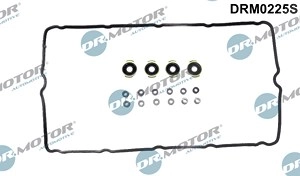 DR.MOTOR AUTOMOTIVE Dichtungssatz, Zylinderkopfhaube FORD,JAGUAR DRM0225S 0249E9,1121656,1143176  1198000,1372490,6C1Q6K260AA,0249E9