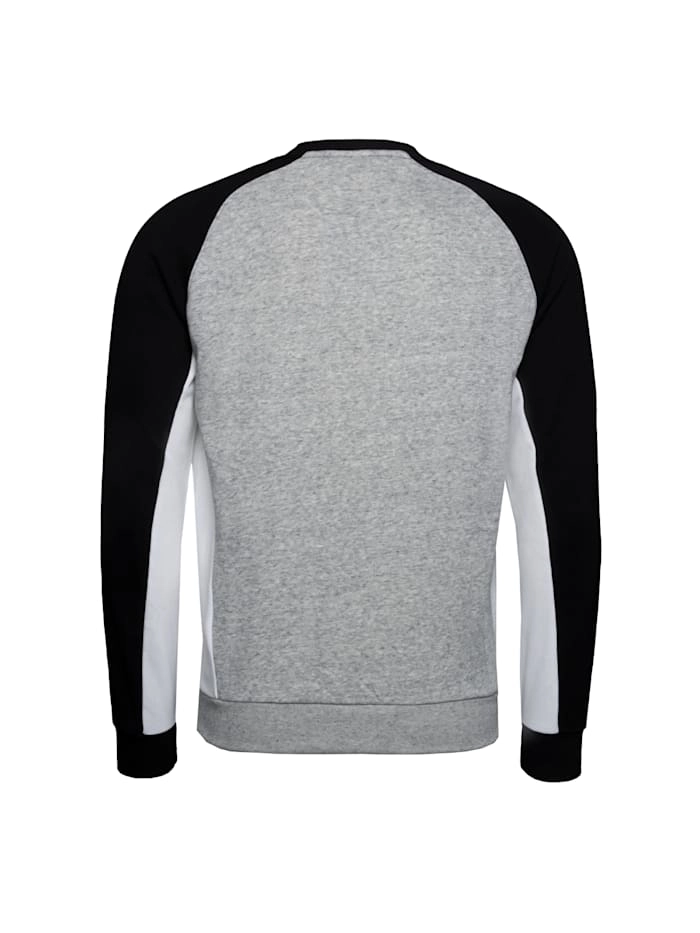 Reverse Weave Sweatshirt aus Baumwollfrottee mit Farbblockdesign