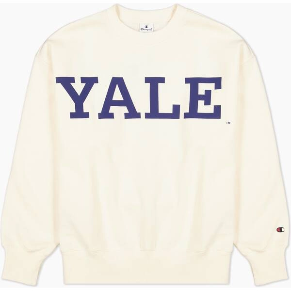Sweatshirt aus leichtem Fleece mit College-Logo
