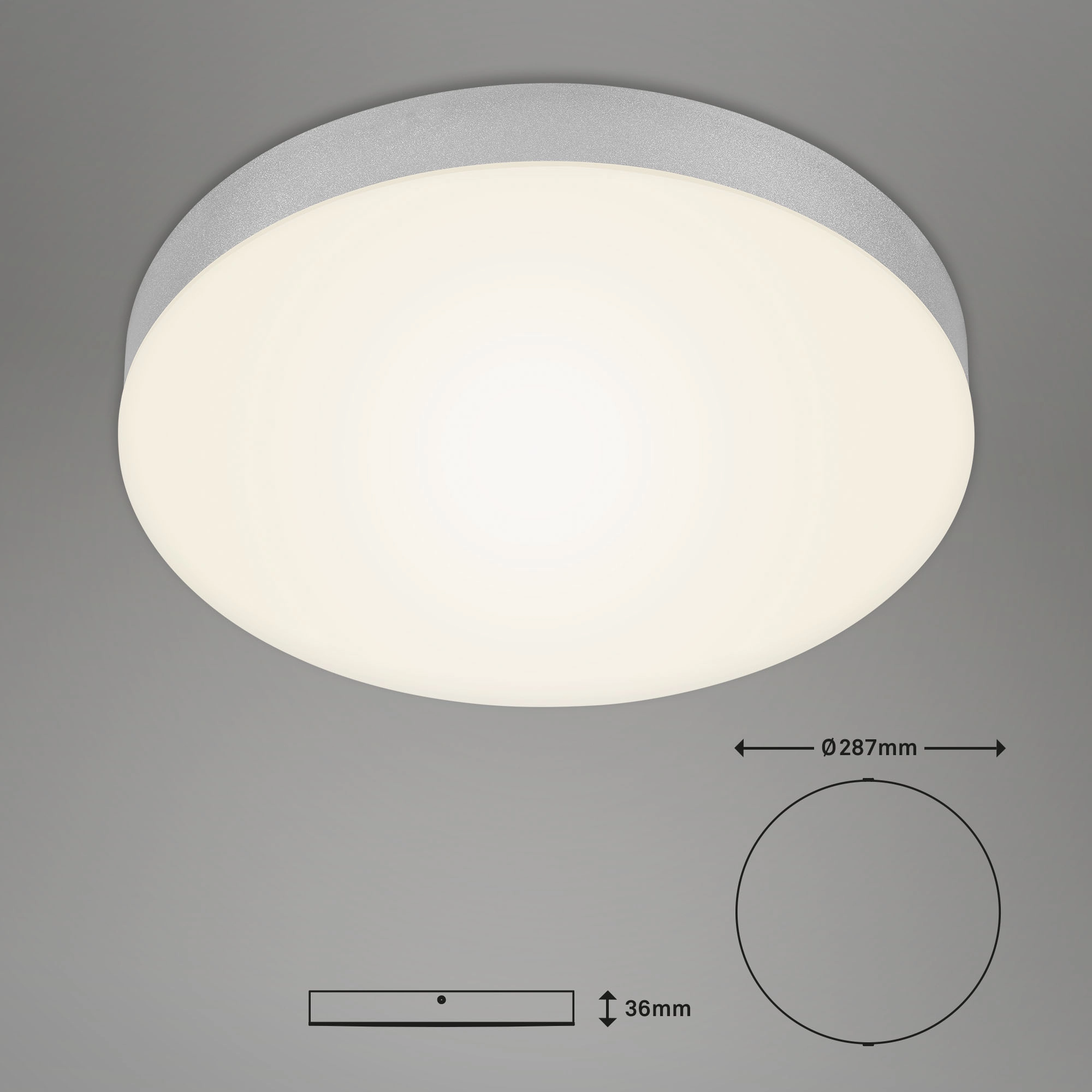 LED Deckenleuchte, Ø 27,8 cm, 21 W, Silber