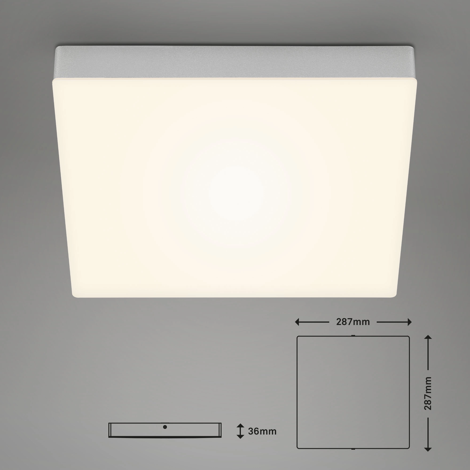 LED Deckenleuchte, 28,7 cm, 21 W, Silber