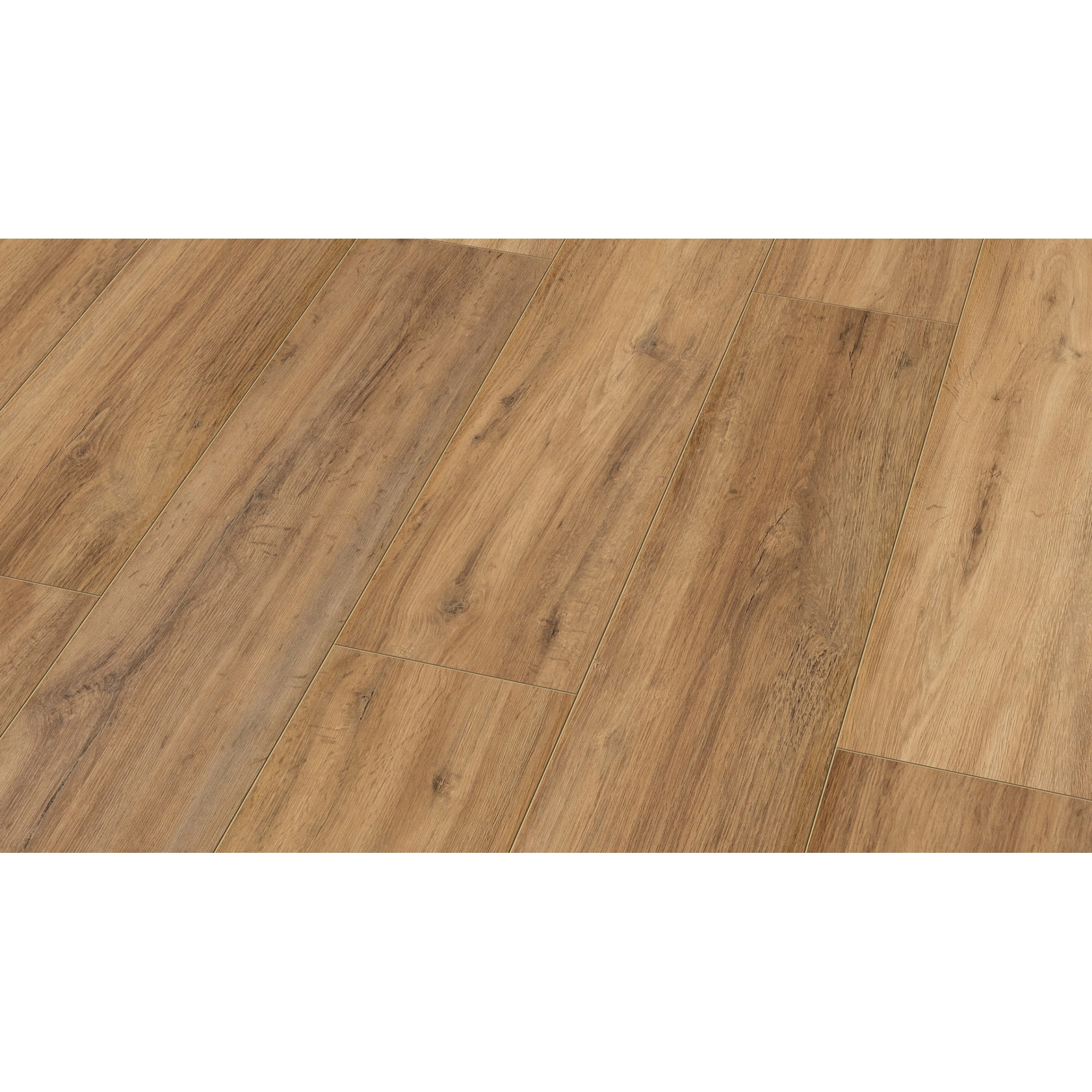 Classen Laminat '832-4 WR' wasserresistent Eiche naturfarben 8 mm