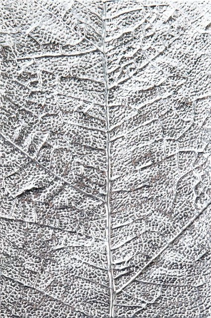Sizzix Motivschablone »3D-Prägeschablone Leaf Veins«, 15,9 cm hoch