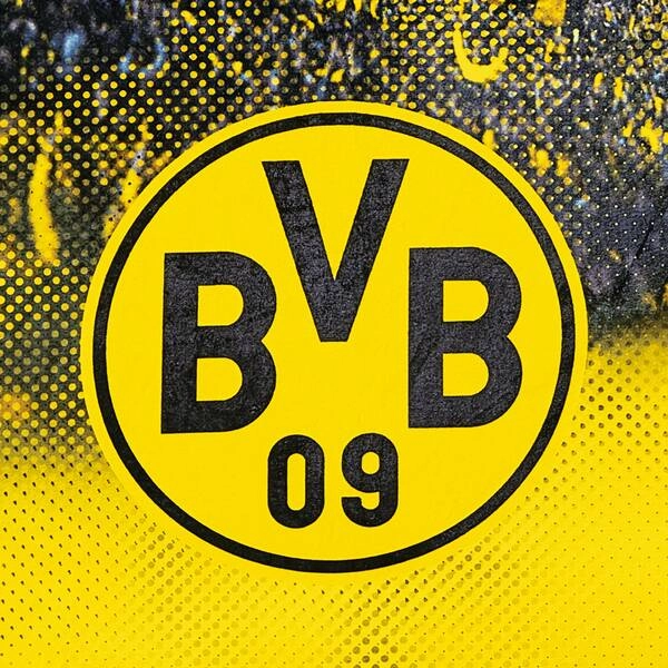 BVB Fleecedecke mit Stadionprint (150x200cm)