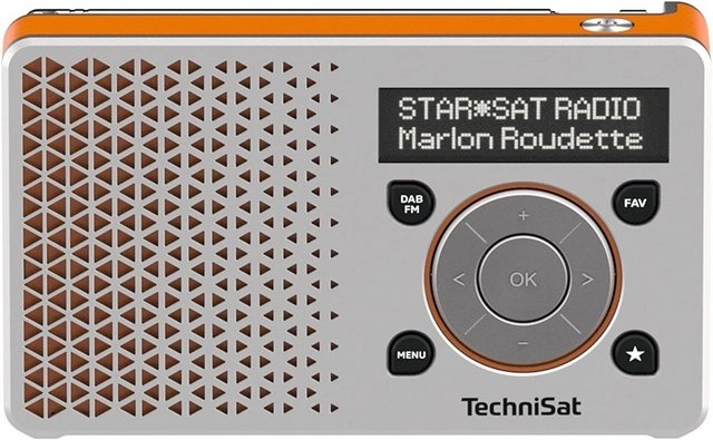 TechniSat DIGITRADIO 1 Silber Orange Küchen-Radio