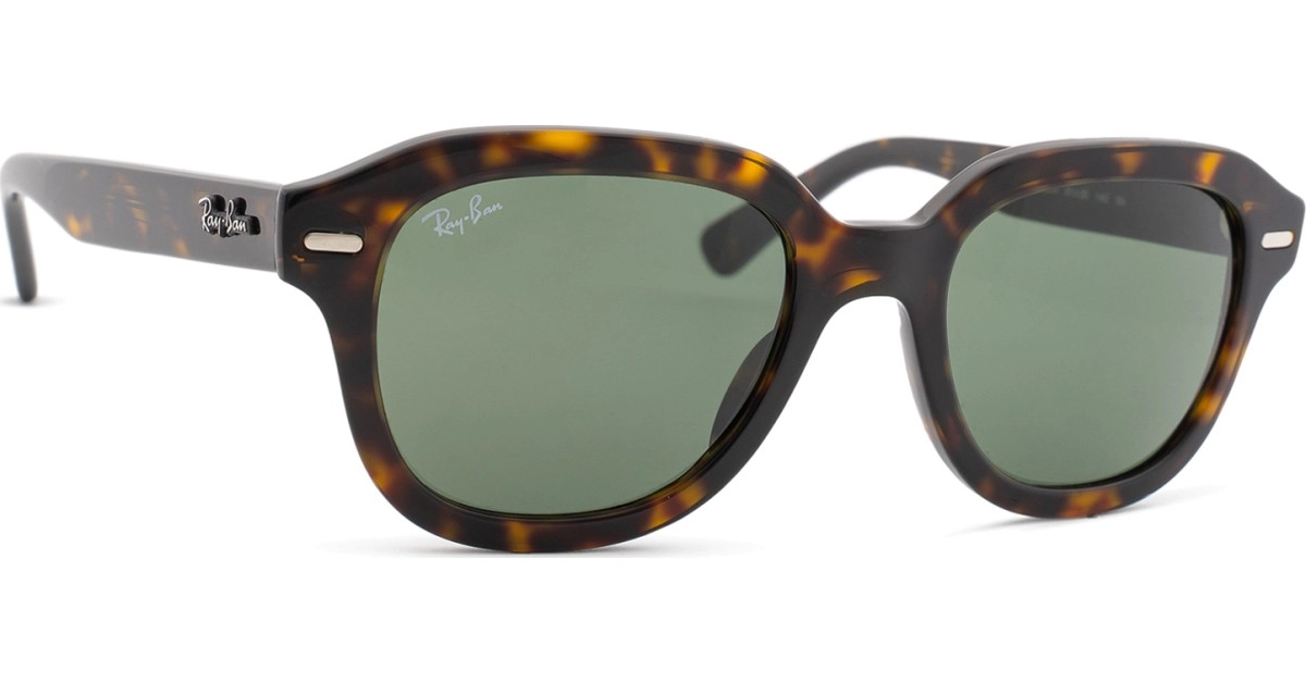 Ray-Ban Erik RB4398 902/31