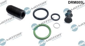 DR.MOTOR AUTOMOTIVE Reparatursatz, Pumpe-Düse-Einheit VW,AUDI,SKODA DRM005L WHT000530,WHT000530,WHT000530  WHT000530