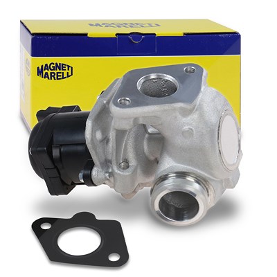 MAGNETI MARELLI AGR-Ventil 571822112033 Abgasrückführungsventil,Abgasrückführung FORD,FIAT,PEUGEOT,Fiesta Mk6 Schrägheck (JA8, JR8)