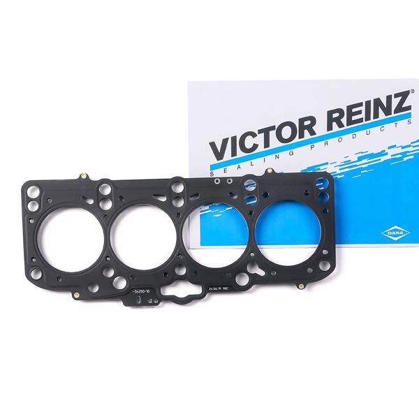 REINZ Zylinderkopfdichtung 61-34250-10 Kopfdichtung,Motor Dichtung VW,AUDI,FORD,Golf IV Schrägheck (1J1),Golf V Schrägheck (1K1),POLO (9N_)