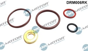 DR.MOTOR AUTOMOTIVE Reparatursatz, Pumpe-Düse-Einheit VW,AUDI,FORD DRM006RK 038198051B,038198051C,038198051B  038198051C,038198051B,038198051C