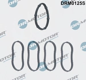 DR.MOTOR AUTOMOTIVE Dichtungssatz, Ansaugkrümmer OPEL,RENAULT,NISSAN DRM0125S 8200052311,8200052312