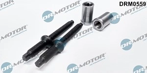 DR.MOTOR AUTOMOTIVE Dichtungssatz, Einspritzdüse FORD,FIAT,PEUGEOT DRM0559 198263,198283,1233685  198263,198283