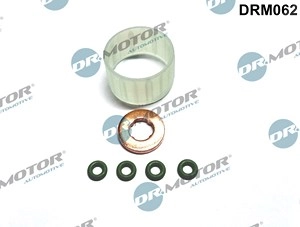 DR.MOTOR AUTOMOTIVE Dichtungssatz, Einspritzdüse PEUGEOT,CITROËN,DS DRM062 198195,1982G6,198195  1982G6,198195,1982G6