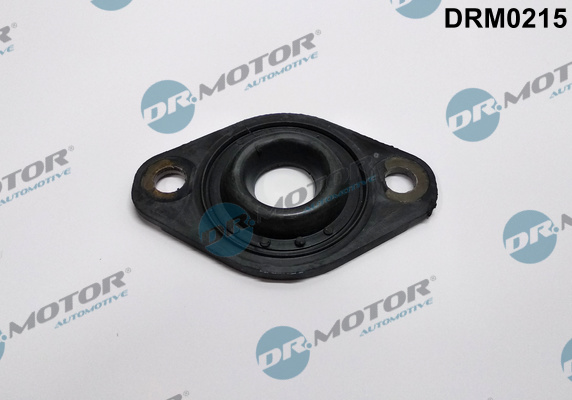 DR.MOTOR AUTOMOTIVE Dichtring, Einspritzventil OPEL DRM0215 0607726,607726,97185863