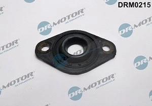 DR.MOTOR AUTOMOTIVE Dichtring, Einspritzventil OPEL DRM0215 0607726,607726,97185863