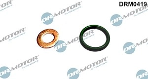 DR.MOTOR AUTOMOTIVE Dichtungssatz, Einspritzdüse NISSAN DRM0419 16626AD200