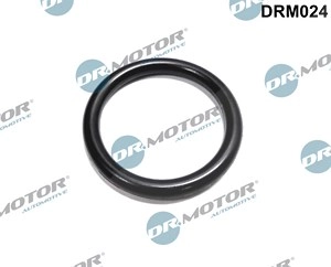 DR.MOTOR AUTOMOTIVE Dichtung, Kühlmittelflansch RENAULT,DACIA DRM024 8200713678,7703065311,8200713678