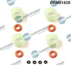 DR.MOTOR AUTOMOTIVE Dichtungssatz, Einspritzdüse FORD,PEUGEOT,CITROËN DRM0143S 198194,198194,1691340  1700379,198194