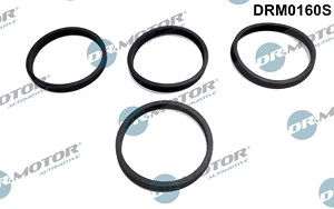 DR.MOTOR AUTOMOTIVE Dichtungssatz, Ansaugkrümmer VW,AUDI,SKODA DRM0160S 06A133398,06A133398F,06A133398  06A133398F,06A133398,06A133398F,06A133398