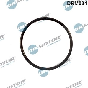 DR.MOTOR AUTOMOTIVE Dichtung, AGR-Ventil VW,AUDI,SKODA DRM034 N90521604,N90521604,N90521604  N90521604