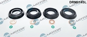 DR.MOTOR AUTOMOTIVE Dichtring, Düsenhalter FORD,PEUGEOT,CITROËN DRM014SL