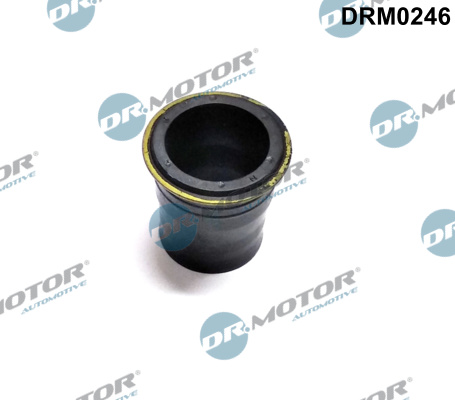 DR.MOTOR AUTOMOTIVE Dichtring, Düsenhalter MAZDA DRM0246 RF5C13R08