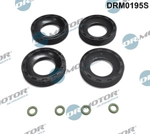 DR.MOTOR AUTOMOTIVE Dichtungssatz, Einspritzdüse FORD,FIAT,PEUGEOT DRM0195S 1609848280,1982A0,1609848280  1609848280,1982A0