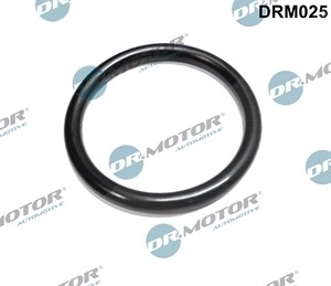 DR.MOTOR AUTOMOTIVE Ansaugkrümmerdichtung RENAULT,DACIA DRM025 7701045722,8200068583,7701045722 Ansaugdichtung,Dichtung, Ansaugkrümmer 8200068583