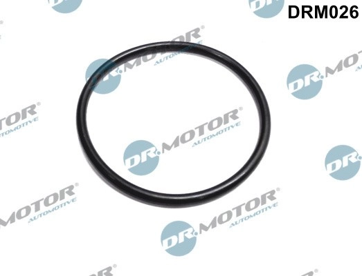 DR.MOTOR AUTOMOTIVE Ansaugkrümmerdichtung RENAULT,DACIA DRM026 1661800QAA,8200068566,8200068566 Ansaugdichtung,Dichtung, Ansaugkrümmer