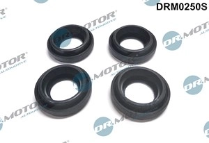 DR.MOTOR AUTOMOTIVE Dichtungssatz, Einspritzdüse TOYOTA DRM0250S 1120127010,1120127012,2368227030