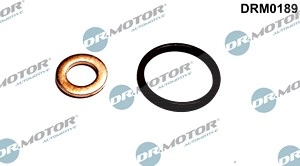 DR.MOTOR AUTOMOTIVE Dichtungssatz, Einspritzdüse VOLVO DRM0189 31405753