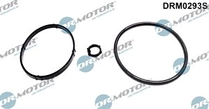 DR.MOTOR AUTOMOTIVE Dichtungssatz, Ölkühler FIAT,PEUGEOT,CITROËN DRM0293S 1103L8,1103L8