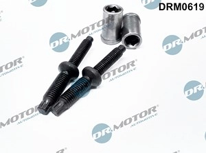 DR.MOTOR AUTOMOTIVE Dichtungssatz, Einspritzdüse FORD,PEUGEOT,CITROËN DRM0619 198262,198263,1250990  1483821,198262,198263