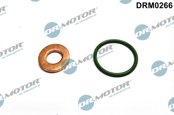 DR.MOTOR AUTOMOTIVE Dichtungssatz, Einspritzdüse VW,AUDI,SKODA DRM0266 03P130519,WHT000884,WHT000884  03P130519,WHT000884,03P130519,WHT000884