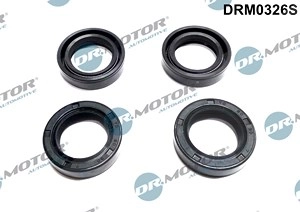 DR.MOTOR AUTOMOTIVE Dichtringsatz, Einspritzventil HYUNDAI,KIA DRM0326S 2244327001