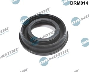 DR.MOTOR AUTOMOTIVE Dichtring, Düsenschacht FORD,PEUGEOT,CITROËN DRM014 1372494,1378432