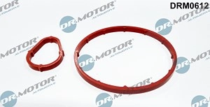 DR.MOTOR AUTOMOTIVE Dichtungssatz, Unterdruckpumpe FORD,PEUGEOT,CITROËN DRM0612 455616,455618,459941  1327236,1327237,455616,455618,459941