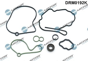 DR.MOTOR AUTOMOTIVE Dichtungssatz, Unterdruckpumpe VW,AUDI,FORD DRM0192K 038145209A