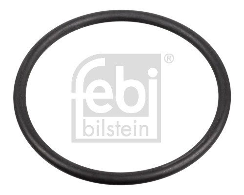 FEBI BILSTEIN Dichtung, Kraftstoffpumpe VW,AUDI,SKODA 172666 03C127311,06E127248,3C127311  6E127248,WHT005184,03C127311,06E127248,3C127311,6E127248