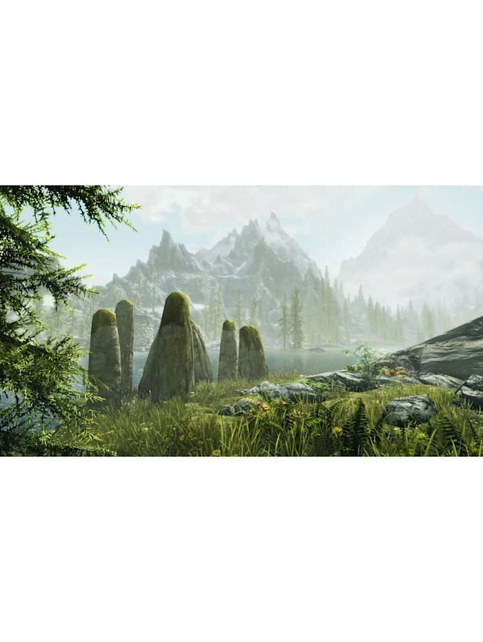 The Elder Scrolls V: Skyrim, Nintendo Switch-Spiel