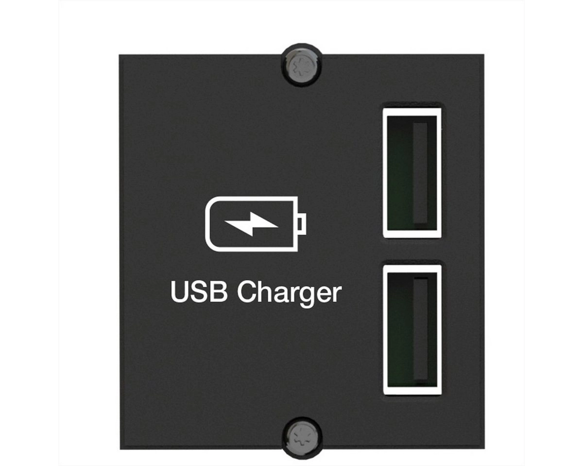 Custom Modul USB Doppel-Charger, Ladegerät