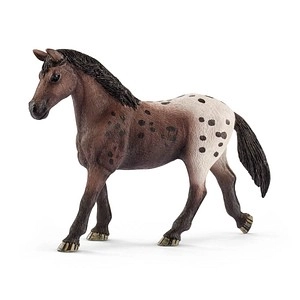 Appaloosa Stute, Spielfigur