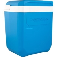 Kühlbox Icetime Plus 26L