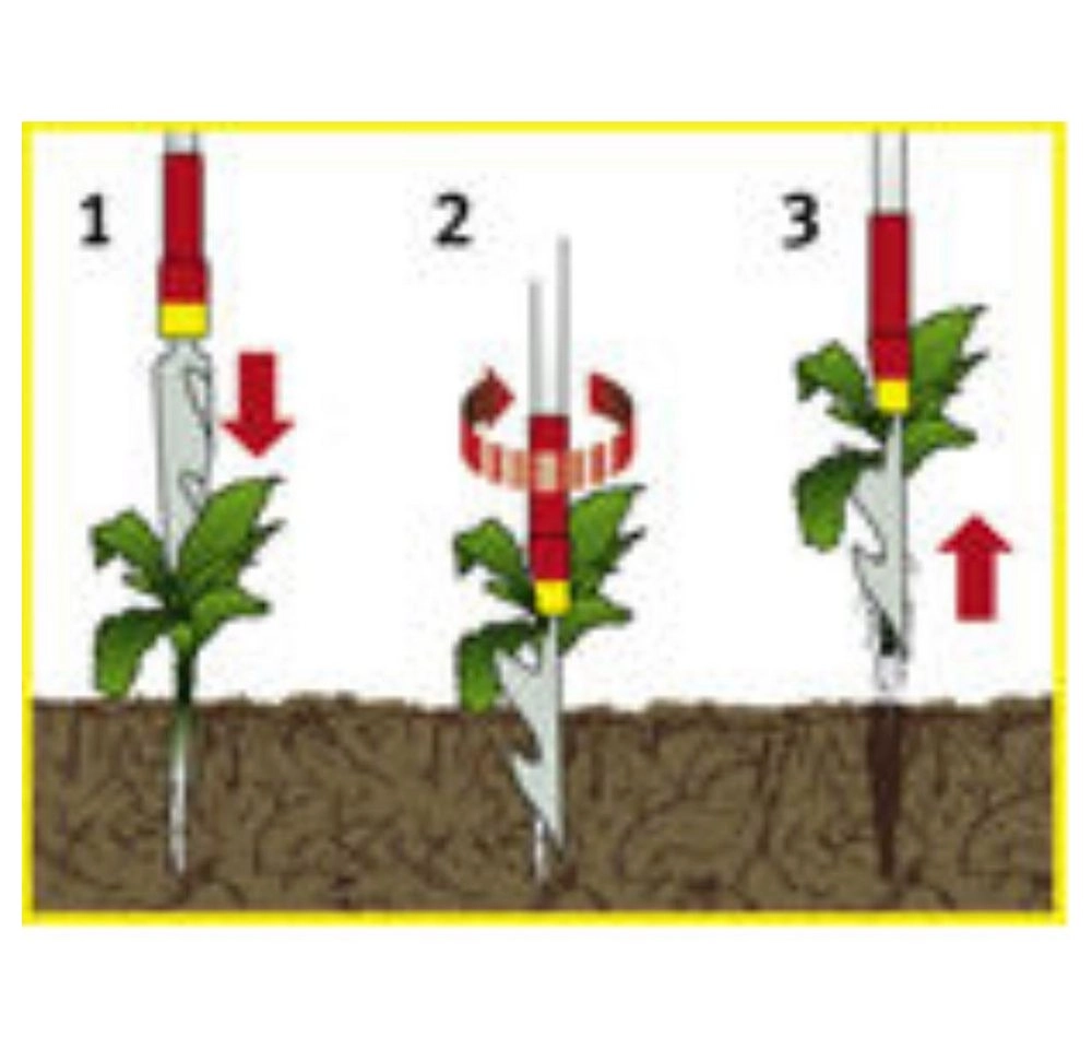 Distelstecher IW-M, multi-star, Unkrautstecher