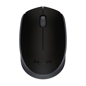 M171 Wireless, Maus