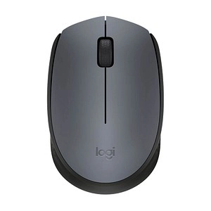 M170 Wireless, Maus